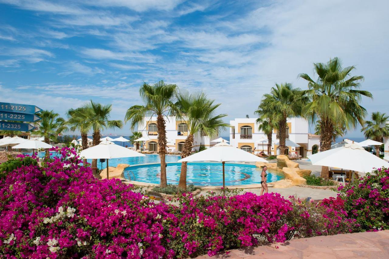 Amphoras Blu Sharm el Sheikh Esterno foto